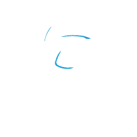 Logo de Bridge Visa Coaching