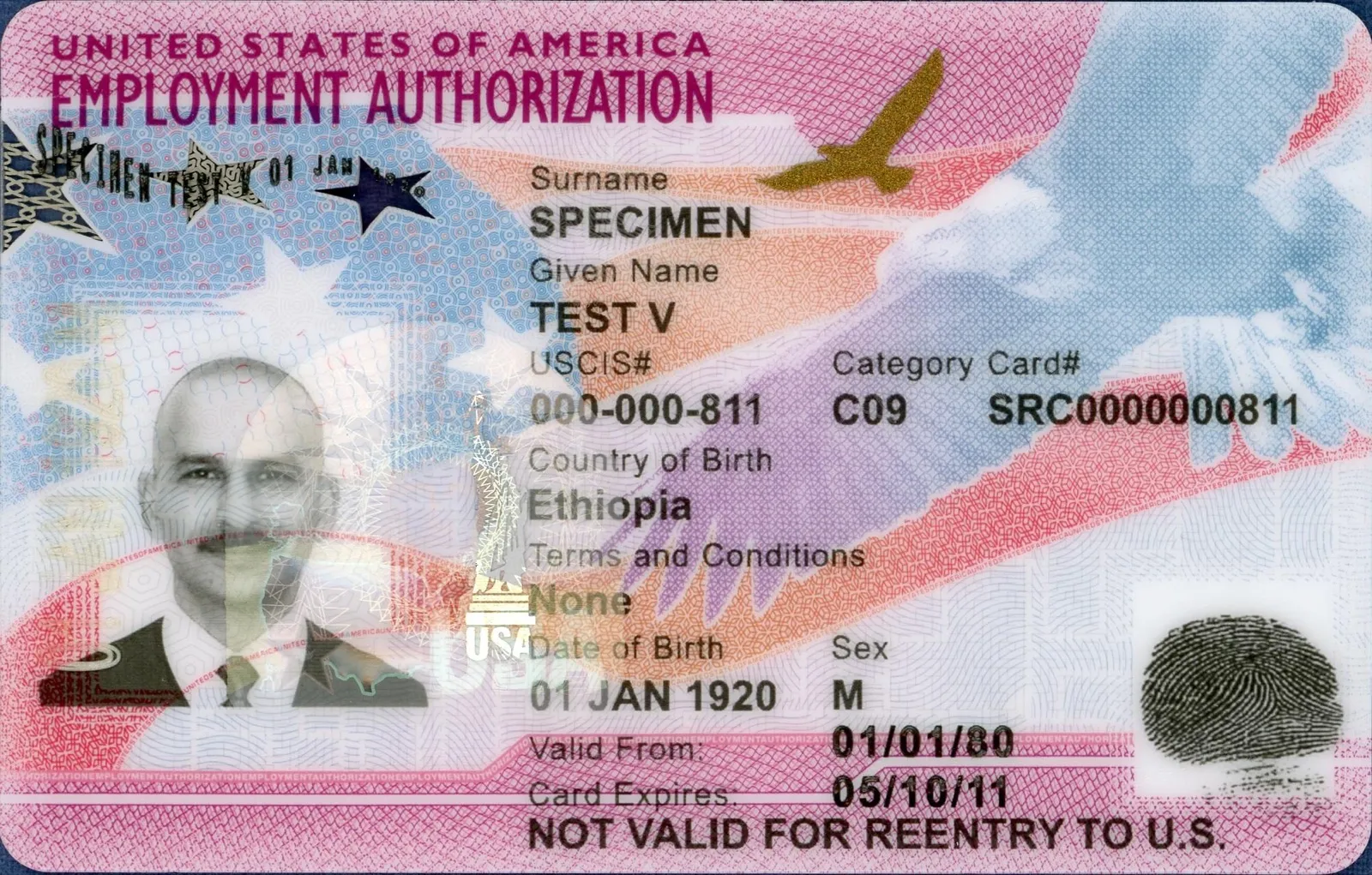 Tarjeta de muestra del permiso de trabajo (EAD) de USCIS, con la leyenda «Employment Authorization»