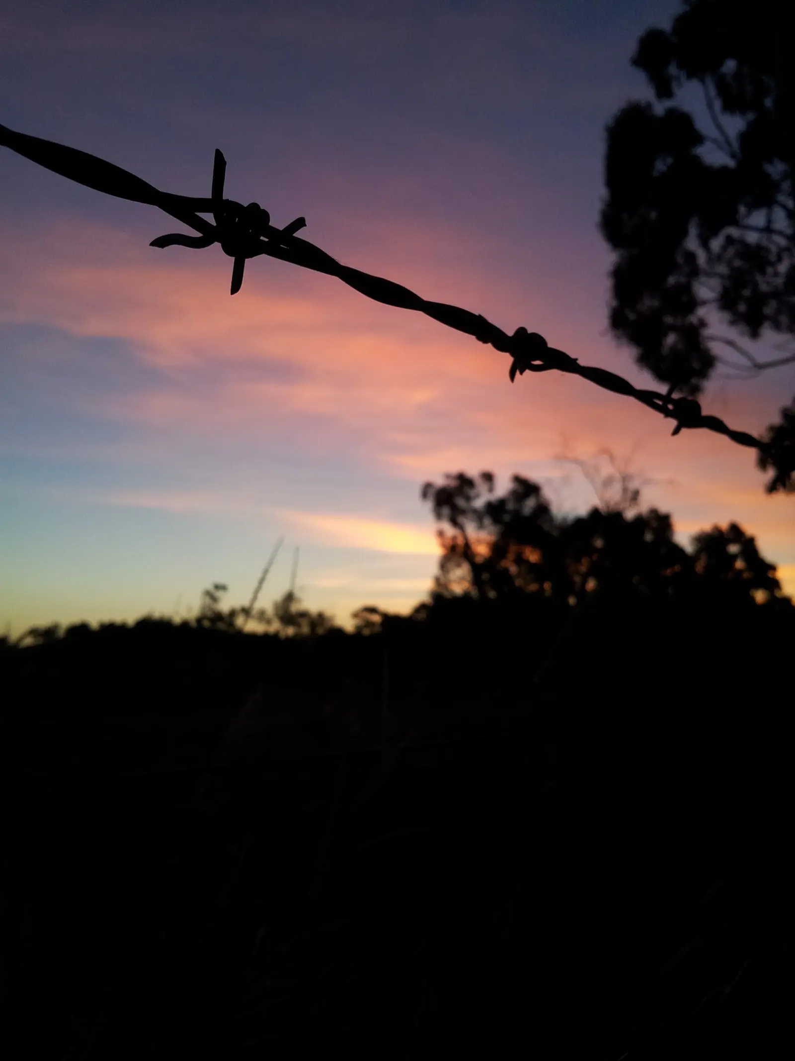 Alambre de púas recortado contra un cielo al atardecer